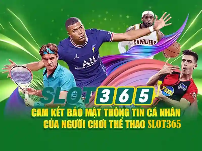 Sản phẩm và dịch vụ của slot365 tái