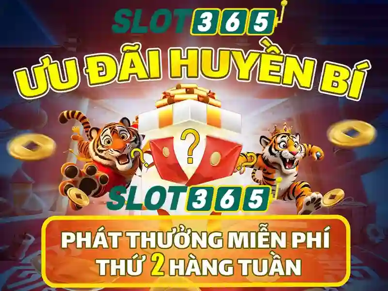 Slot365: Tổng quan và trải nghiệm chơi slot trực tuyến