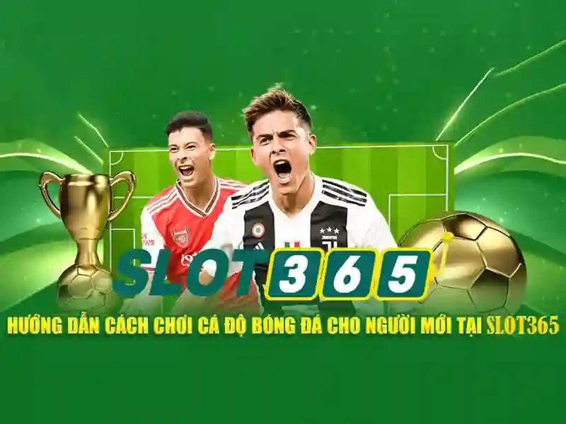 slot365 xx.vip – Tổng quan chủ đề và giá trị cốt lõi