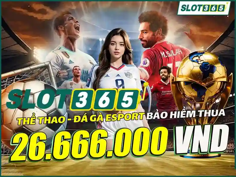 hoki slot365 – Trải nghiệm casino trực tuyến đỉnh cao