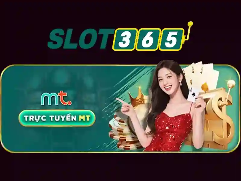 'Slot365 là gì và vì sao nó nổi bật' 'Slot365 là gì và vì sao nó nổi bật'