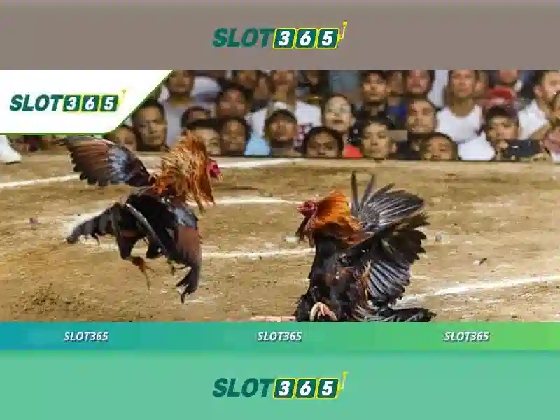 Trải nghiệm người chơi tại Slot365