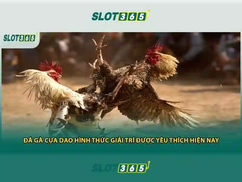 Slot365: Khám phá nền tảng casino trực tuyến an toàn và giải trí