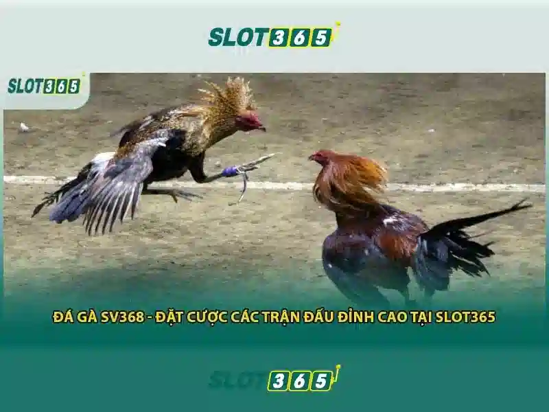 Slot 3D và hiệu ứng âm thanh
