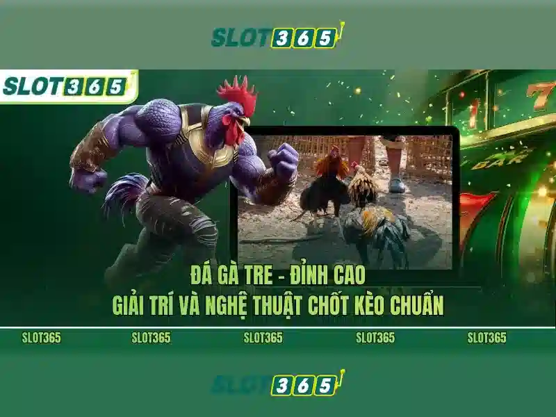 Slot365 là gì? Slot365 là gì?