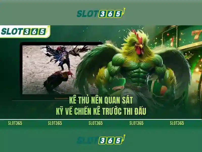 Hướng dẫn đăng ký và nhận thưởng