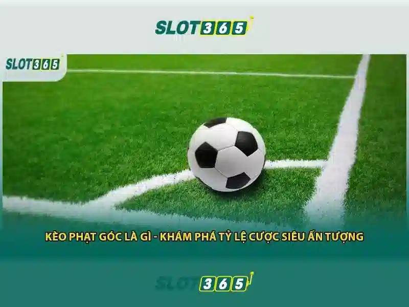 slot365 app – Trải nghiệm casino an toàn và tiện lợi