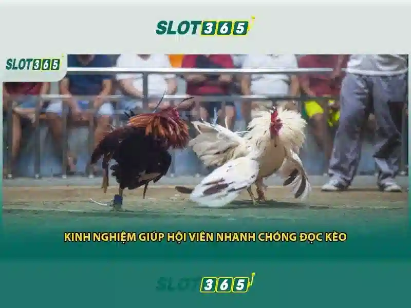 Sản phẩm và dịch vụ cốt lõi: ứng dụng thực tế của asia slot365