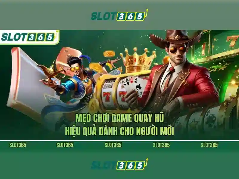 Trải nghiệm người dùng