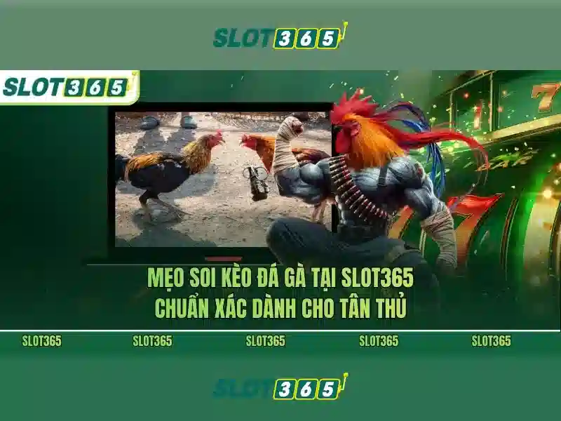 slot365 com – Tổng quan và Giá trị cốt lõi