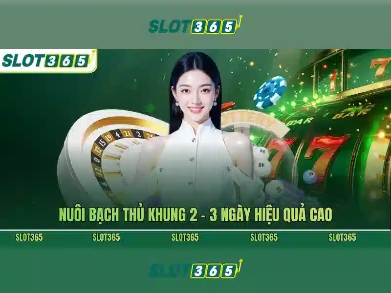 An toàn và thanh toán