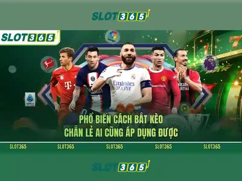 slot365 có lừa đảo không – Tổng quan chủ đề và giá trị cốt lõi
