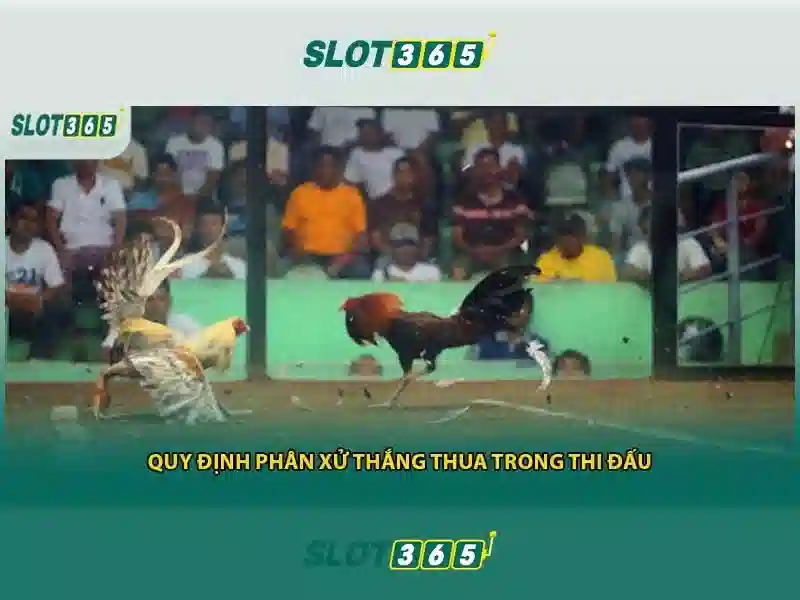 slot365 tải – Trải nghiệm đỉnh cao và giá trị cốt lõi