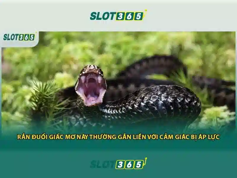 Sản phẩm và dịch vụ chính: ứng dụng thực tiễn của slot365 game