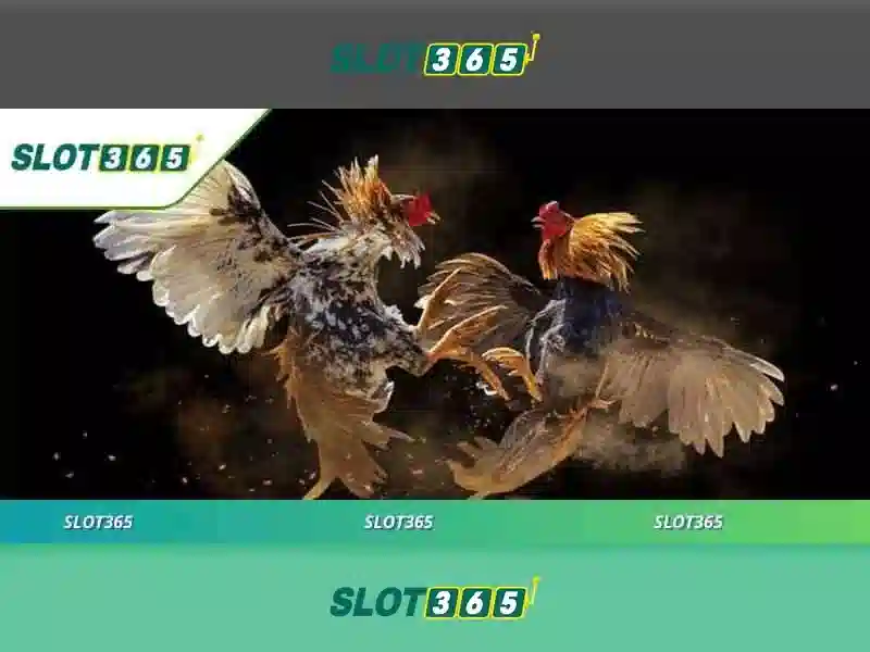 Slot365: Nền tảng chơi slot trực tuyến an toàn và hấp dẫn