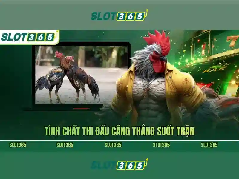 Trải nghiệm người dùng và giao diện