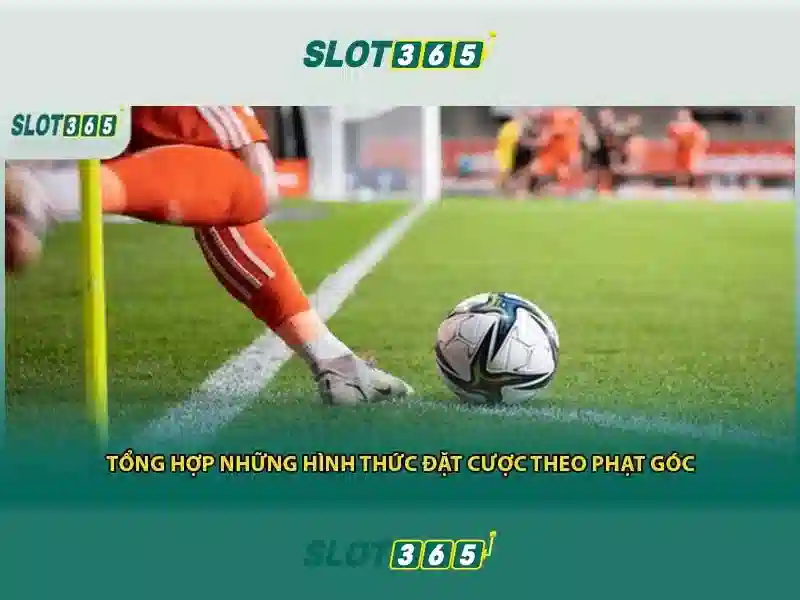 Slot365 - Nền tảng giải trí khe cắm trực tuyến\n Slot365 - Nền tảng giải trí khe cắm trực tuyến\n