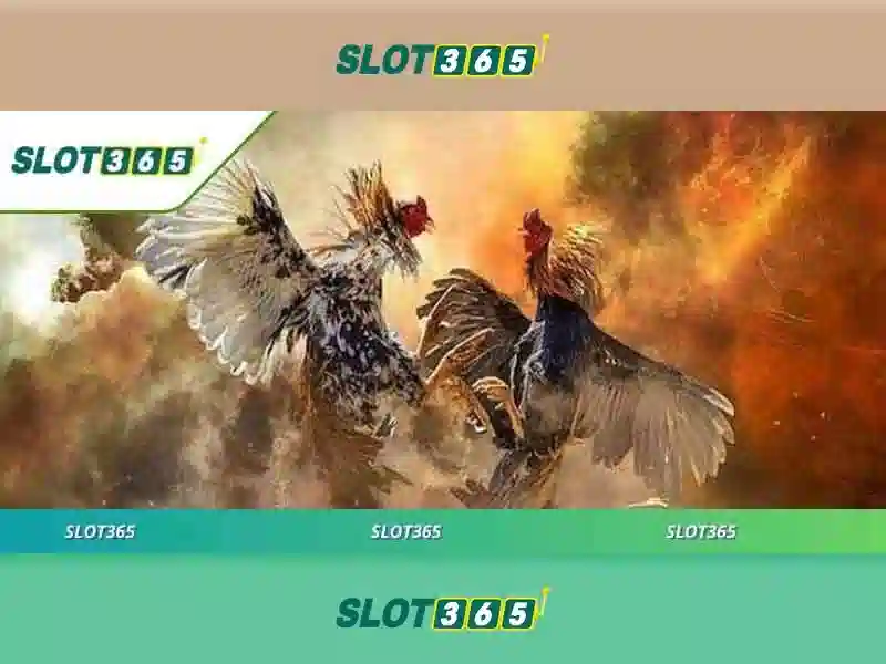 slot365 xx.vip – Trải nghiệm uy tín và đánh giá chi tiết