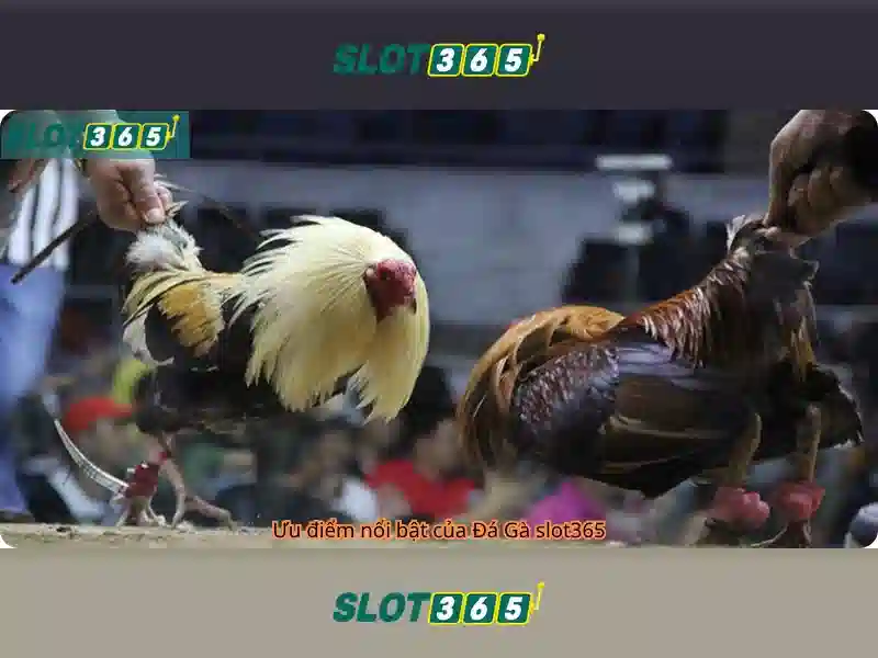 Slot365 – Nền tảng slot trực tuyến đáng tin cậy ở Việt Nam