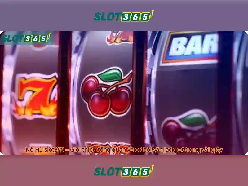 Slot365: Nền tảng chơi máy xèng trực tuyến uy tín