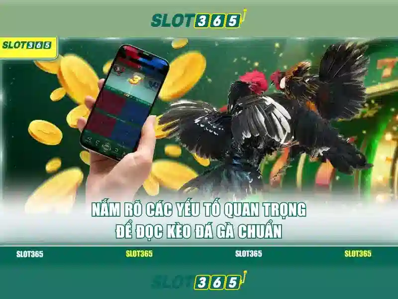 Slot365: Trải nghiệm chơi slot đỉnh cao
