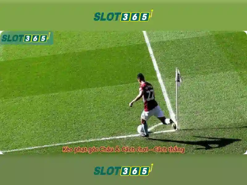 Slot365 – Tổng quan chủ đề và giá trị cốt lõi