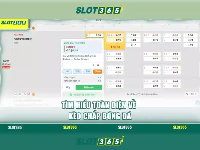 Slot365 - Nền tảng cược trực tuyến hàng đầu