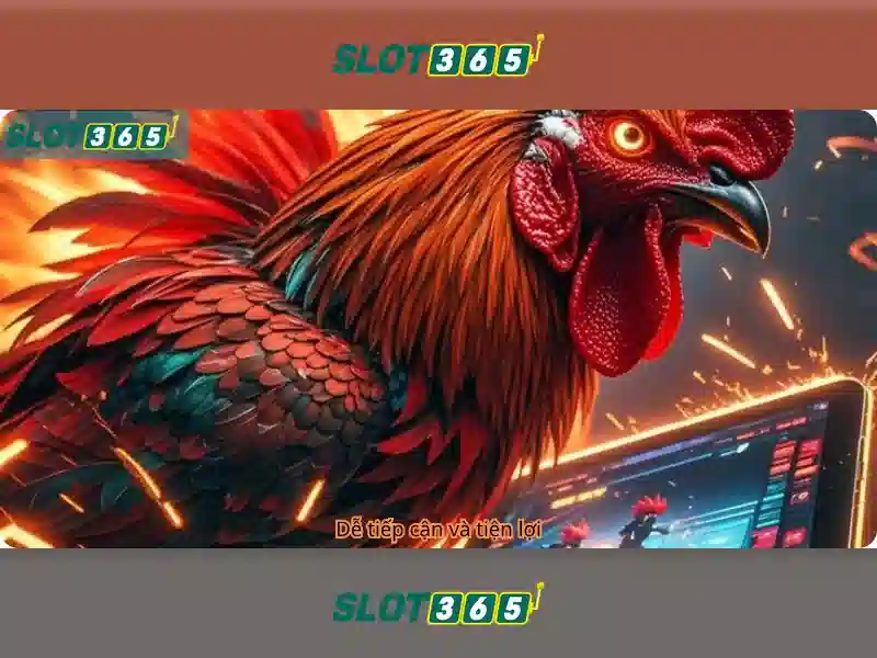 Slot365: Nền tảng chơi slot trực tuyến uy tín