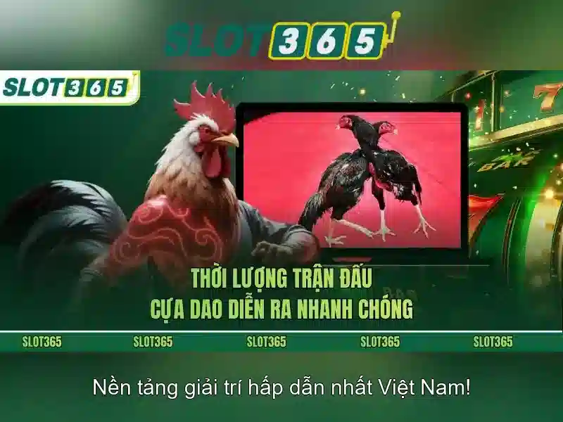Slot365 là gì?