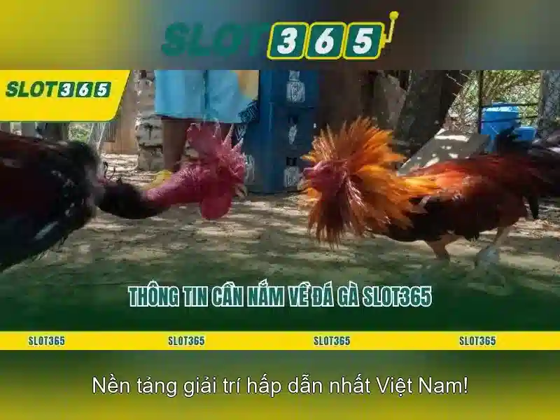 Trải nghiệm người chơi trên Slot365