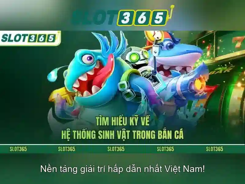 Khuyến mãi và chương trình thưởng hấp dẫn