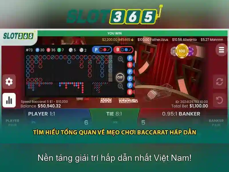 Slot365 - Tổng quan về nền tảng chơi slot trực tuyến