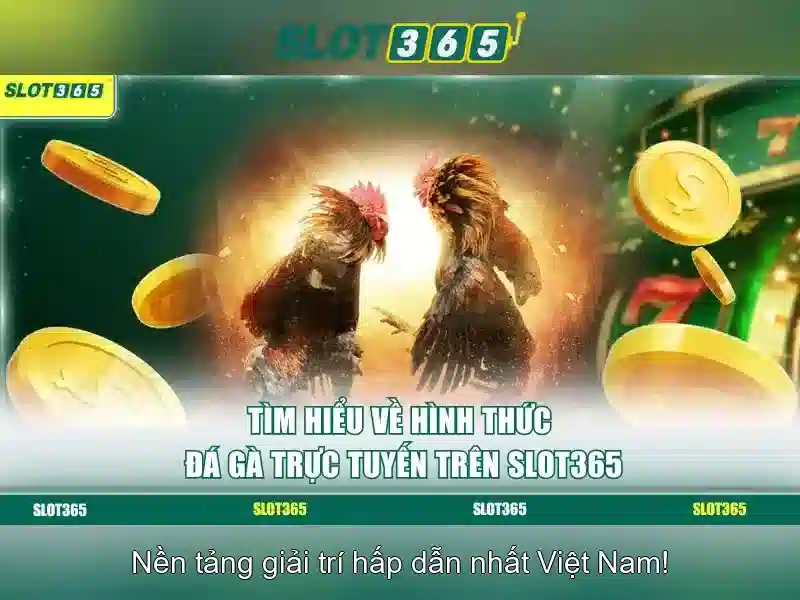 Trải nghiệm người dùng và giao diện\n\n
