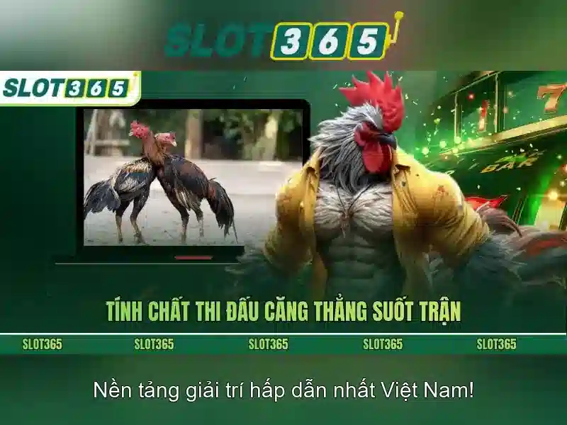 Slot365: Đánh giá nền tảng slot trực tuyến hàng đầu