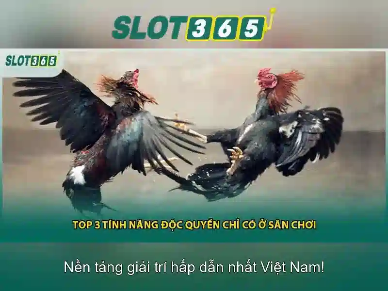 Slot365 là nền tảng trò chơi quay số trực tuyến hàng đầu