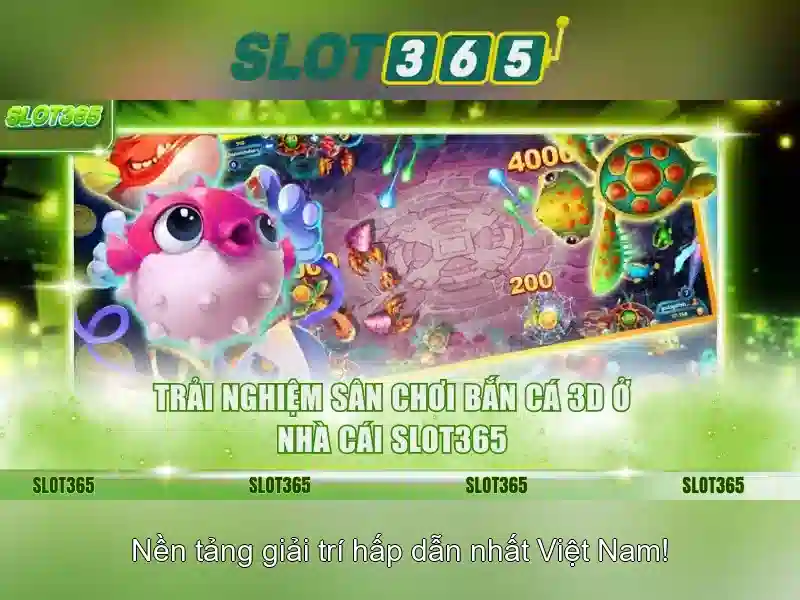 Trải nghiệm người dùng