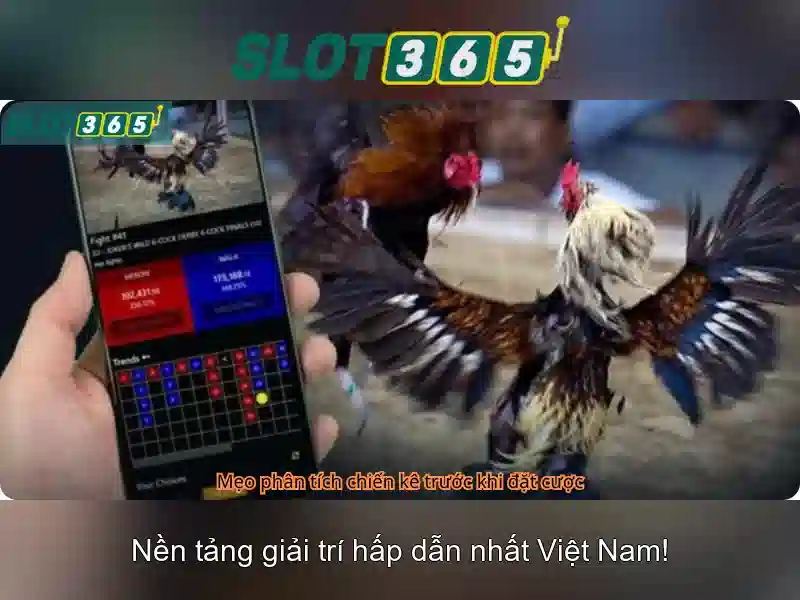 Hỗ trợ khách hàng và độ tin cậy Hỗ trợ khách hàng và độ tin cậy