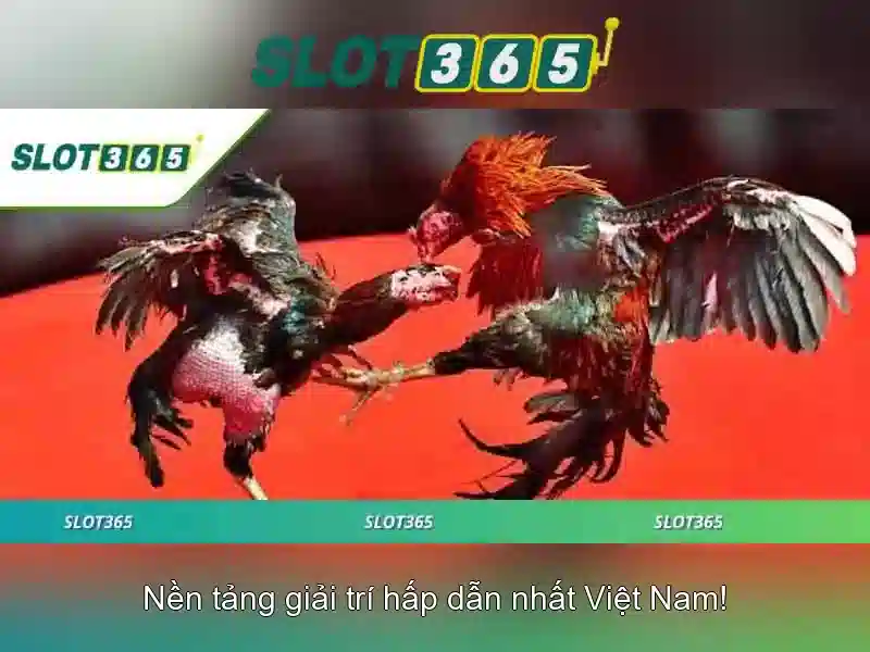 Slot365: Tổng quan về nền tảng slot trực tuyến Slot365