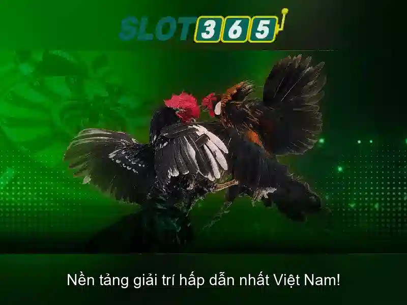 Cách tham gia và thanh toán an toàn