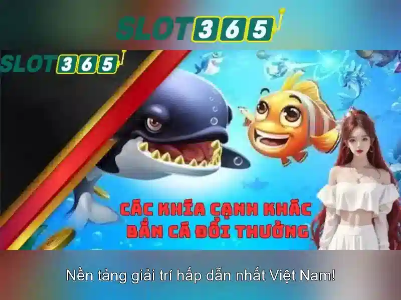 Giao diện người dùng và trải nghiệm
