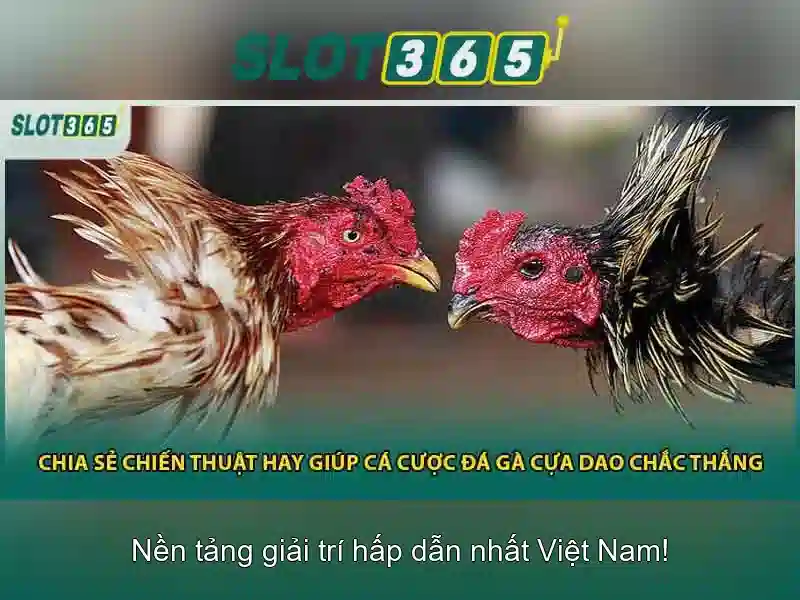 Slot365: Nền tảng trò chơi slots hiện đại và an toàn
