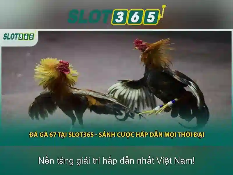 Slot365: Khám phá thế giới slot online chất lượng