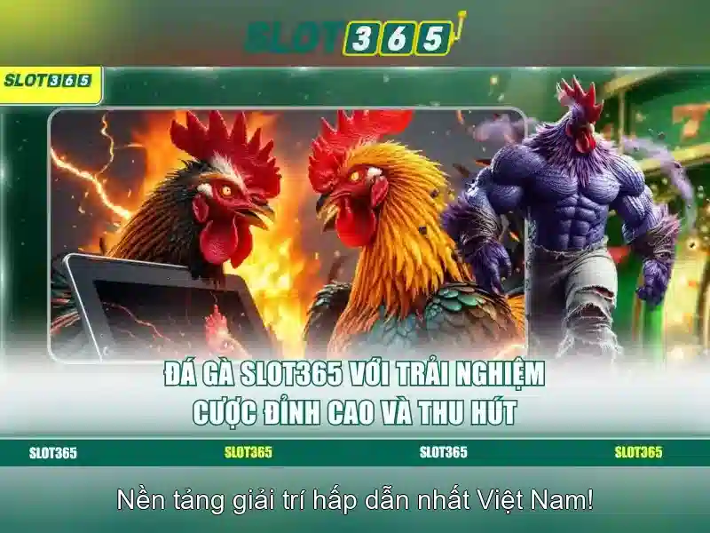 Slot365: Trải nghiệm đánh bạc trực tuyến hàng đầu