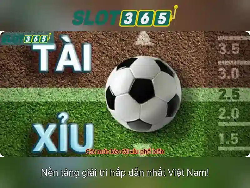 Slot365: Khám phá nền tảng đánh bạc trực tuyến an toàn và hiện đại