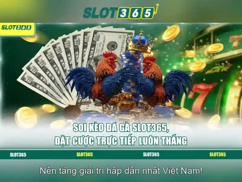 Slot365: Trải nghiệm đánh bạc trực tuyến hàng đầu