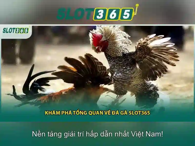 Slot365 là gì?\n\n