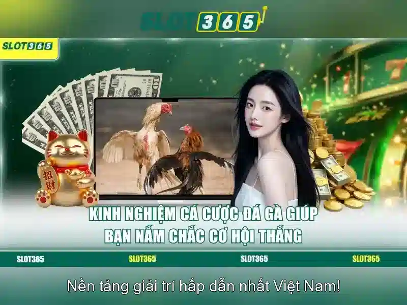 An toàn và độ tin cậy An toàn và độ tin cậy