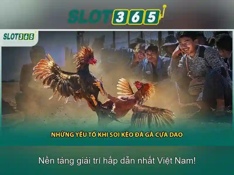 Rút thưởng Slot365 – Tổng quan chủ đề và giá trị cốt lõi