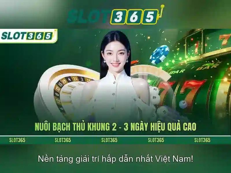 Slot365 - Nền tảng đánh bạc trực tuyến uy tín tại thị trường Việt Nam