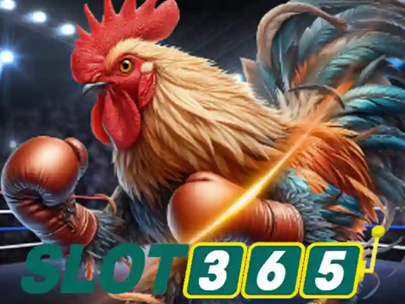 slot365 games: Nền tảng casino online và trải nghiệm slot365 games